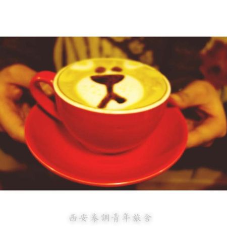 Xi'An Qindiao Youth Hostel 西安市 エクステリア 写真
