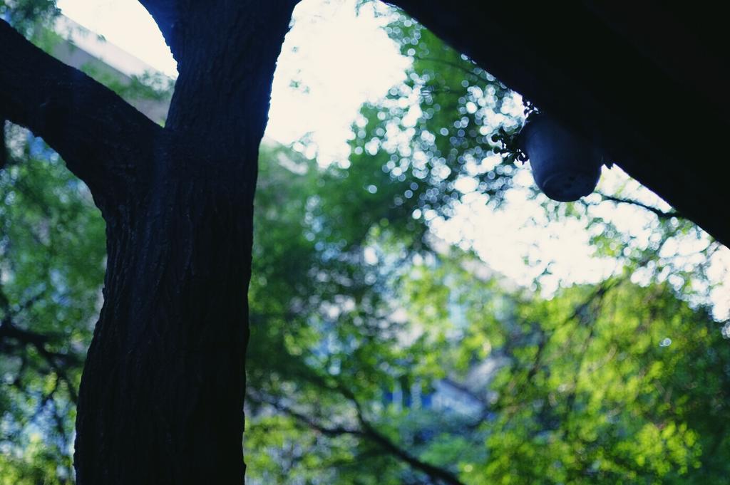 Xi'An Qindiao Youth Hostel 西安市 エクステリア 写真